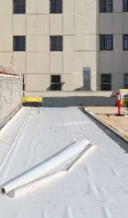 roof protection layer